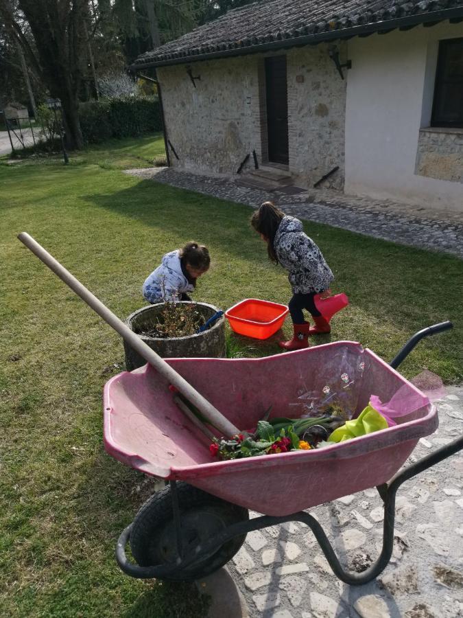Affittacamere Il Vignale Massa Martana Esterno foto