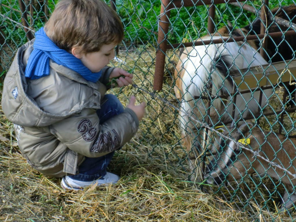 Affittacamere Il Vignale Massa Martana Esterno foto