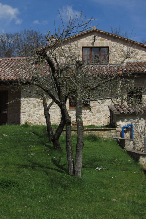 Affittacamere Il Vignale Massa Martana Esterno foto